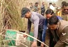 धधकती शराब भट्टी पर आबकारी विभाग ने फेरा पानी