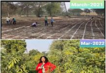 गाजियाबाद शहर की आबोहवा सुधारने को जापानी तकनीक का सहारा