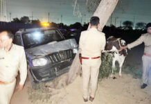 गाजियाबाद में गौ तस्करों पर पुलिस का प्रहार, मुठभेड़ में गोली लगने से तीन गौ-तस्कर घायल, सिपाही के हाथ में लगी गोली