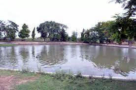 pond