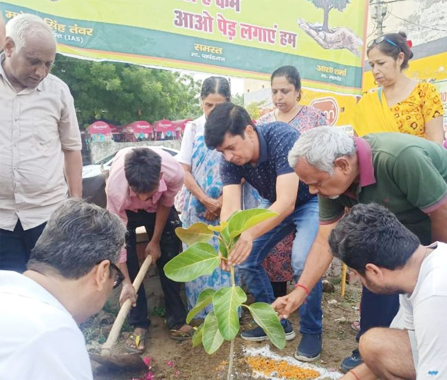 tree-planting
