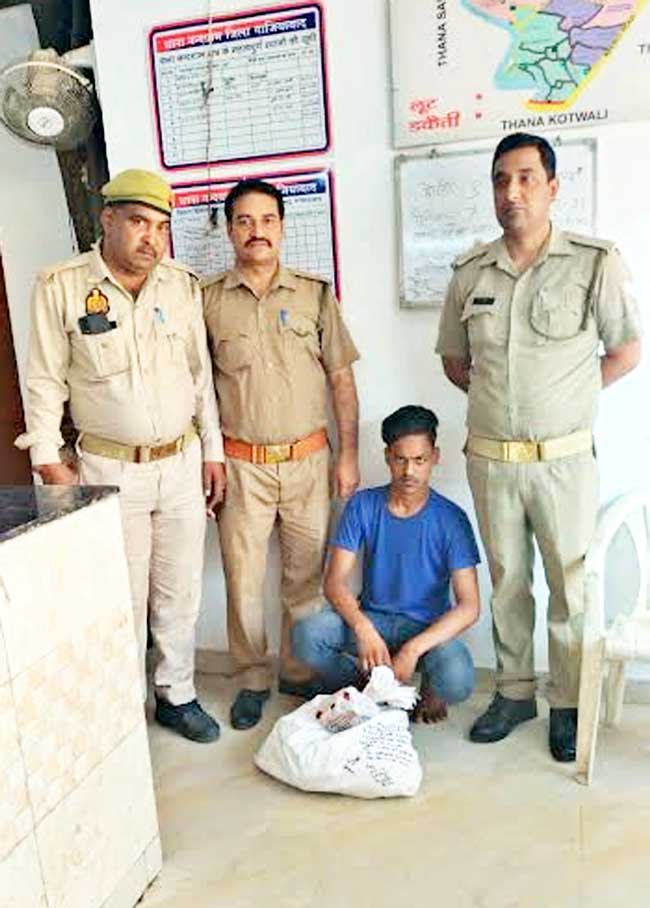 Excise Department