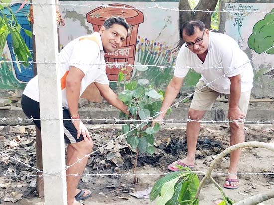 tree planting.jpg_2