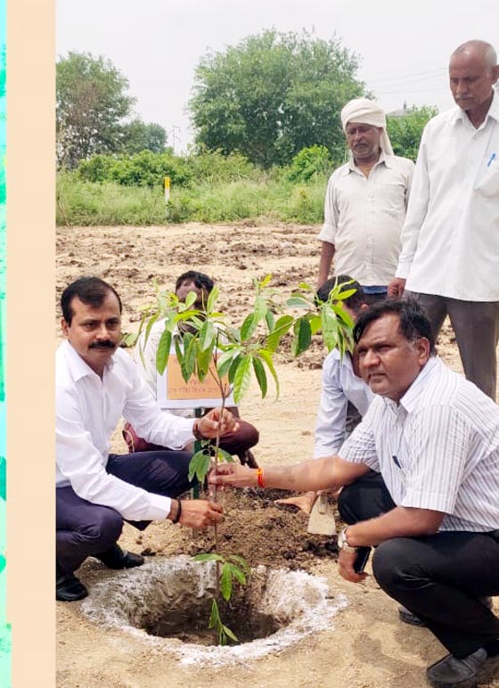GDA-planted-saplings-1