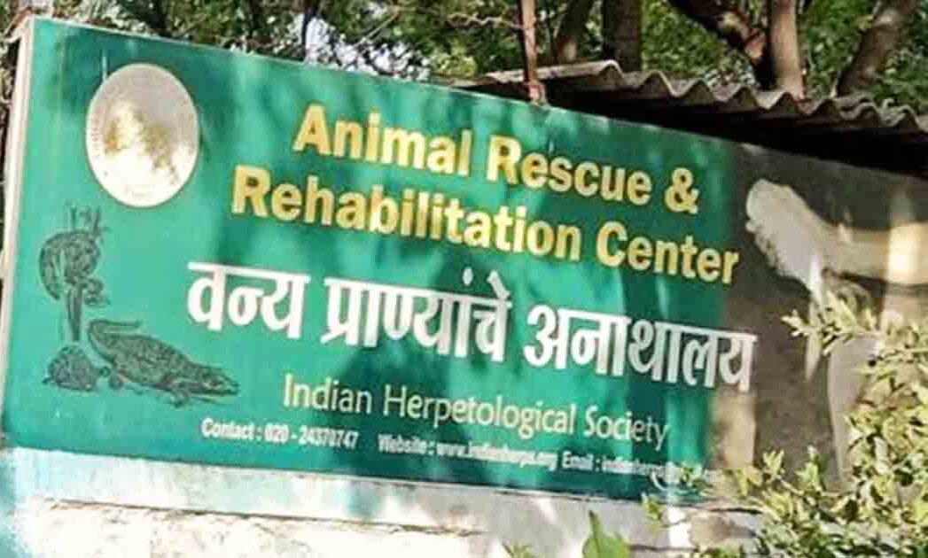 jewar-airport-wild-life-rescue-centre