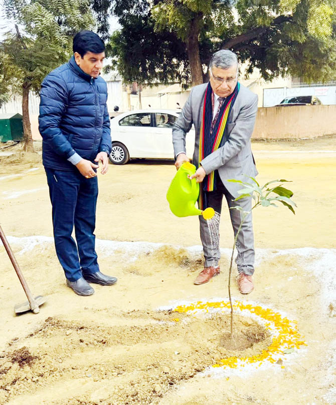 Miyawaki-method-nigam (3)