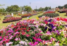 एक बार फिर फूलों की खुषबू से महकेगा ग्रेटर नोएडा का सिटी पार्क