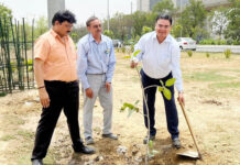 विश्व पर्यावरण दिवस पर ग्रेटर नोएडा प्राधिकरण के अधिकारियों ने लगाए पौधे ACEO सौम्य श्रीवास्तव ने कहा गर्मी और प्रदूषण से बचने के लिए पौधारोपण जरूरी
