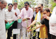 एक पेड़ मां के नाम अभियान: ग्रेनो प्राधिकरण ने अब तक डेढ़ लाख पौधे लगाए