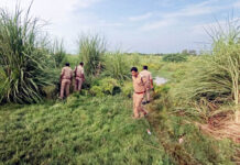 आबकारी विभाग की कार्रवाई से हिंडन खादर क्षेत्र में पसरा सन्नाटा, धंधा समेटने में जुटे तस्कर