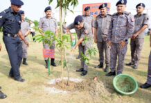 प्राकृतिक आपदा रोकने को पौधरोपण जरूरी: पीयूष आनंद