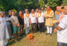 माधव पार्क में हरियाली बढ़ाने के लिए पार्षद ने लगवाई घास