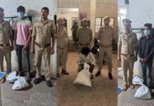 आबकारी विभाग की टीम ने दबोचे 3 शराब तस्कर