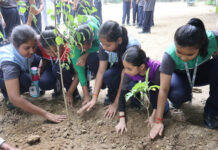 नेहरू वर्ल्ड स्कूल में पौधरोपण कर किया प्रेरित