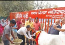गोपाष्टमी पर नंदी पार्क में निगम अधिकारी और गौ प्रेमियों ने गौमाता की सेवा कर लिया आशीर्वाद