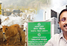 पौवरी गांव में इसी माह से शुरू होगा गौशाला का संचालन, ग्रेटर नोएडा प्राधिकरण के सीईओ एनजी रवि कुमार की प्राथमिकता में है गौशाला, तैयारियां पूरी