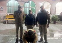 तस्करों के साथ अब लालची विक्रेताओं को भी सबक सिखा रहा आबकारी विभाग, 10 रुपये के लिए विभाग की छवि को लगा रहे पलीता