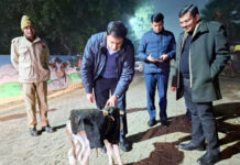 सर्दी के मौसम में बेजुबानों को भी होती है परेशानी, रखें विशेष ध्यान: विक्रमादित्य सिंह मलिक