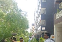 आंधी-तूफान से कौशांबी में मची तबाही, पूर्व पार्षद व नगर निगम कर्मचारियों ने मिलकर बहाल कराई सप्लाई