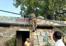 गाजियाबाद में आबकारी विभाग का ऑपरेशन क्लीन की मार से कांपे रहे शराब माफिया
