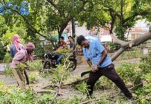 तूफान ने मचाई तबाही, नगर निगम ने संभाली कमान