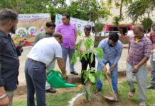 हरित योग दिवस पर गूंजा शहर, योग और पौधारोपण से मिला स्वस्थ जीवन का संदेश