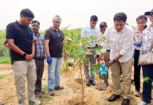 नगर आयुक्त ने मूकबधिर बच्चों संग मनाया पर्यावरण का पर्व