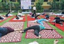 मॉडर्न कॉलेज में 500 प्रतिभागियों ने योग से जोड़ा जीवन, बना आत्मबल और स्वास्थ्य का पर्व
