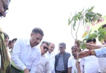 एक पेड़ मां के नाम: यमुना प्रधिकरण ने लगाए 56660 पौधे लगाए