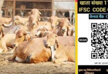 गौसेवा: पुण्य कमाने का सर्वोत्तम अवसर, आपका छोटा सा सहयोग बदल सकता है कई गोवंशों का भविष्य
