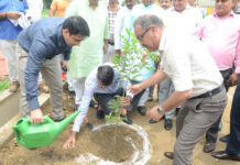 इंदिरापुरम की जमीन से अतिक्रमण हटा, अब जीडीए ने बोए विकास और हरियाली के बीज