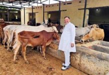 गौमाता सेवा ही सनातन धर्म का आधार