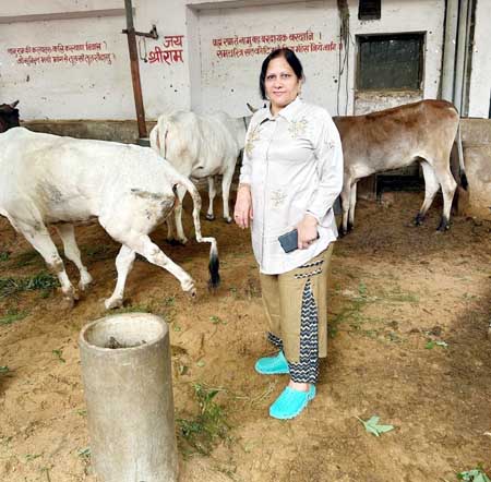 रोटरी गाजियाबाद स्मार्ट सिटी ने गौ माता सेवा प्रोजेक्ट के तहत किया भव्य सेवा कार्य
