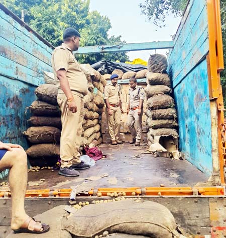 बलिया में आबकारी विभाग की मुस्तैदी ने शराब तस्करों के धंधे पर लगाया ब्रेक, 36 लाख की अवैध शराब बरामद