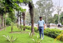 दीपावली से पहले गाजियाबाद में हरियाली और सौंदर्यकरण का विशाल अभियान