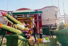 26 फरवरी से चार दिनों तक सिटी पार्क में दिखेगी फूलों की दुनियां