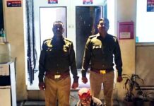 गौतमबुद्ध नगर में शराब माफिया पर आबकारी विभाग की सर्जिकल स्ट्राइक, अवैध कारोबारियों में भगदड़