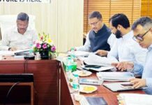 यमुना सिटी बनेगा विकास का नया हब, 11,811 करोड़ के बजट को मिली मंजूरी
