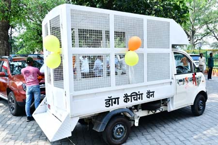 New-dog- catching-van (1)