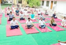 योग से निरोग जीवन का संदेश, जिला पंचायत उरई में गूंजा स्वस्थ भारत का संकल्प