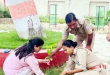 पर्यावरण संरक्षण का लिया संकल्प: आबकारी विभाग ने पौधरोपण कर हरियाली बढ़ाने का दिया संदेश