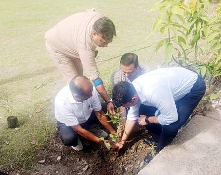 अवैध शराब पर वार के साथ हरियाली की जिम्मेदारी, आबकारी विभाग ने दिया पर्यावरण संरक्षण का संदेश